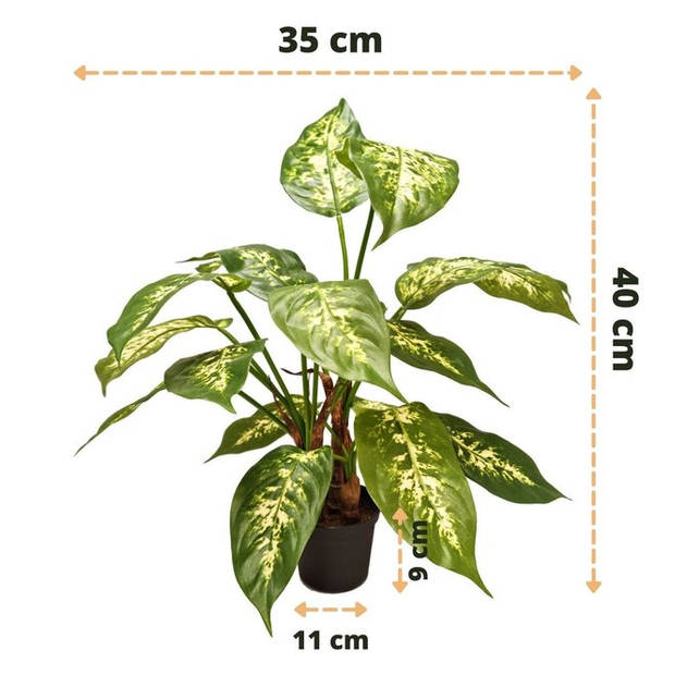 Hoyz Greenery - Kunstplant Dieffenbachia 40 cm