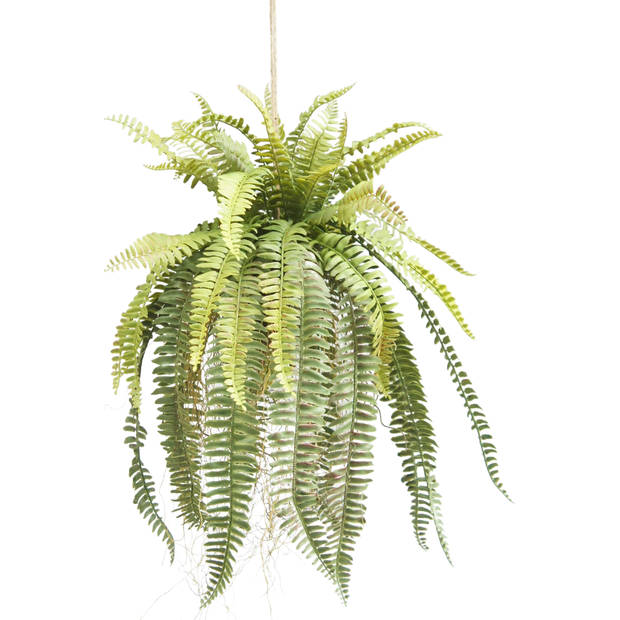 Hoyz Greenery - Kunst hangplant Varen op bal 76 cm