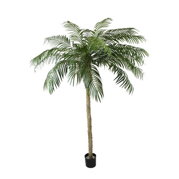 Hoyz Greenery - Kunstpalm Phoenix De Luxe 250 cm