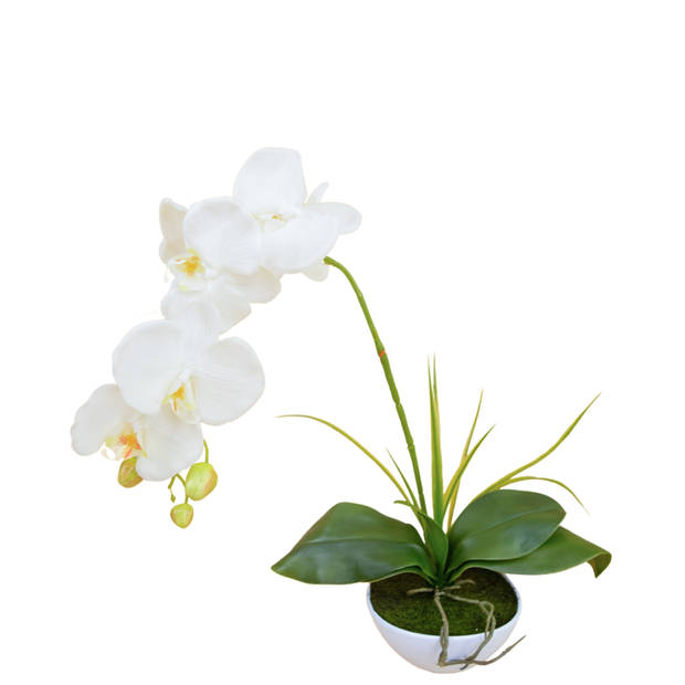 Hoyz Greenery - Kunst Orchidee 50 cm wit in pot