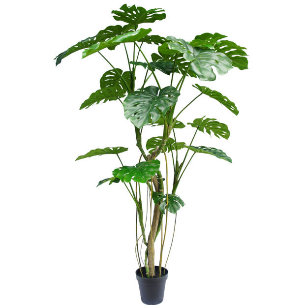 Hoyz Greenery - Kunstplant Monstera 210 cm