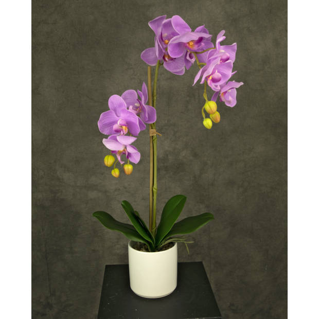 Hoyz Greenery - Kunst Orchidee 52 cm roze in witte pot