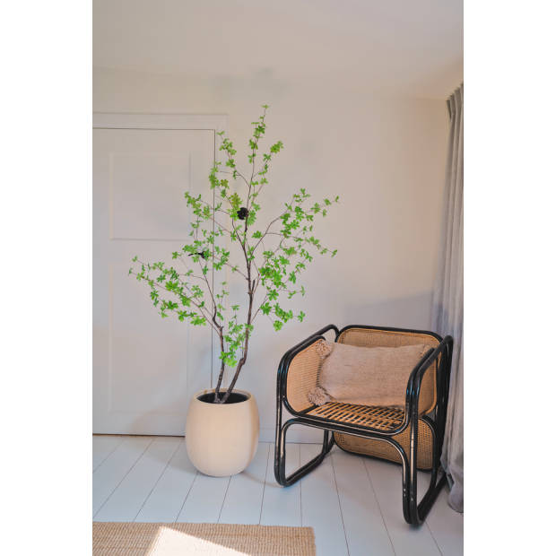 Hoyz Greenery - Kunstplant Enkianthus 180 cm