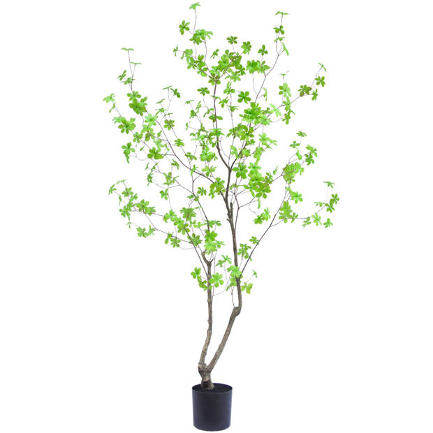 Hoyz Greenery - Kunstplant Enkianthus 180 cm