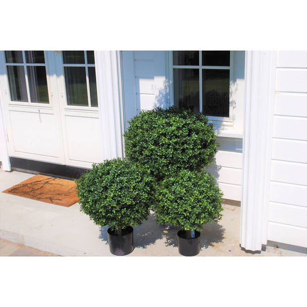 Hoyz Greenery - Buxus Kunstbal Op Stam Romeinse Stijl 65cm