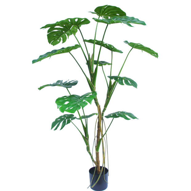 Hoyz Greenery - Kunstplant Monstera 150 cm