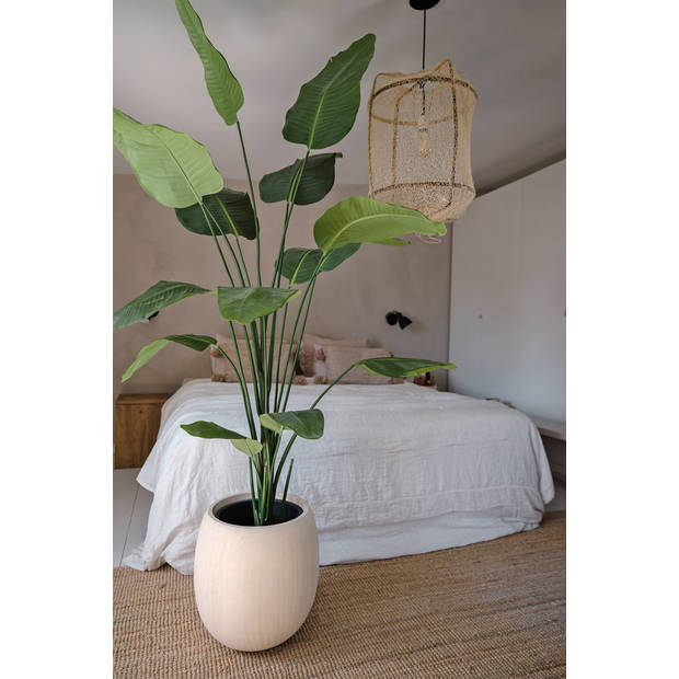 Hoyz Greenery - Kunstplant Strelitzia 180 cm