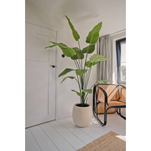 Hoyz Greenery - Kunstplant Strelitzia 180 cm