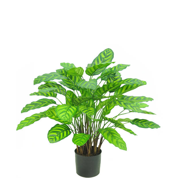 Hoyz Greenery - Kunstplant Calathea Makoyana Deluxe 75 cm