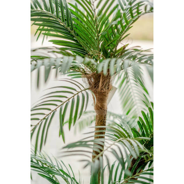 Hoyz Greenery - Cycas Kunstpalm Classic 135 cm