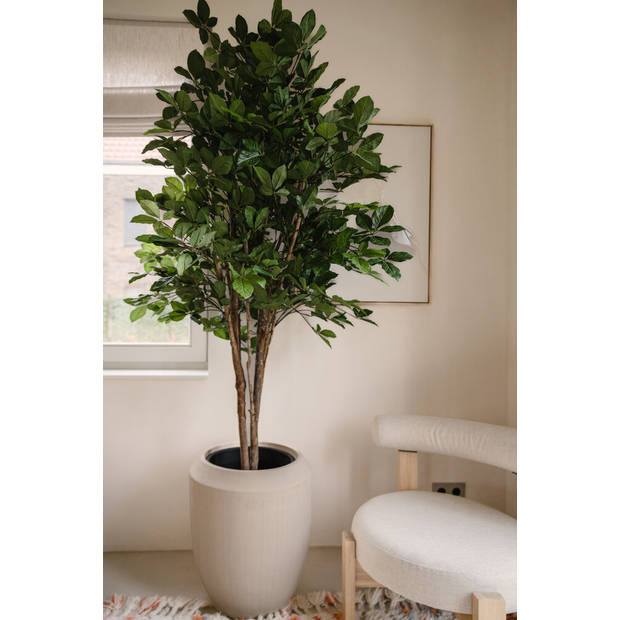 Hoyz Greenery - Kunstplant Ficus Groen 210 cm