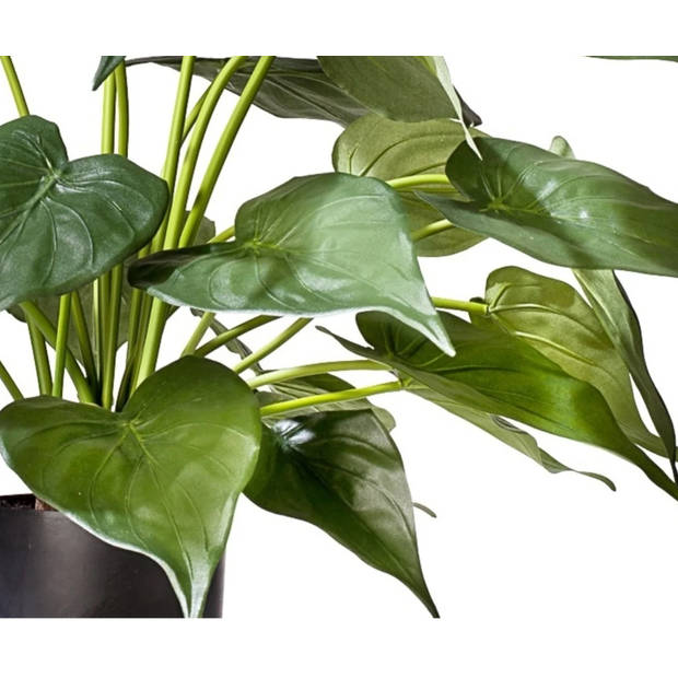 Hoyz Greenery - Kunstplant Alocasia 51 cm