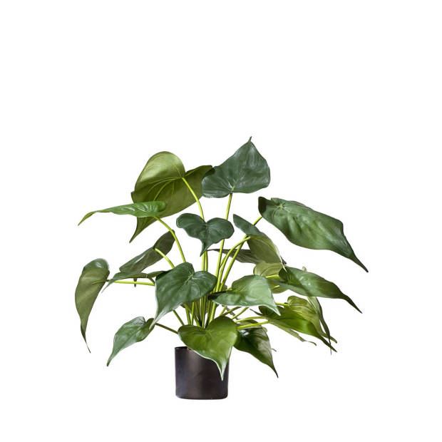 Hoyz Greenery - Kunstplant Alocasia 51 cm