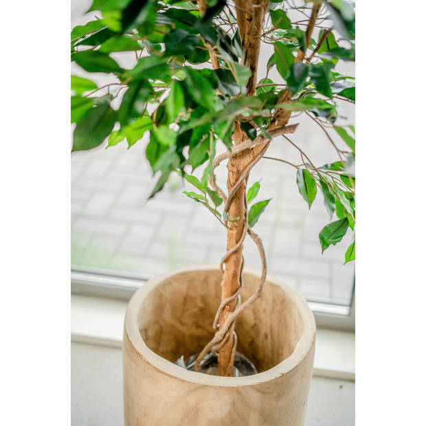 Hoyz Greenery - Kunstplant Ficus Groen 150 cm