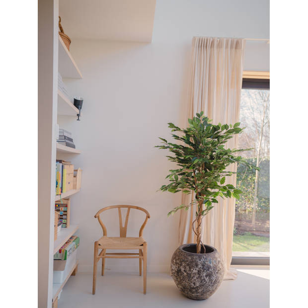 Hoyz Greenery - Kunstplant Ficus Groen 150 cm