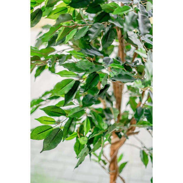 Hoyz Greenery - Kunstplant Ficus Groen 150 cm