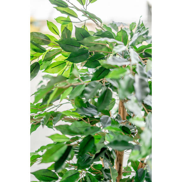 Hoyz Greenery - Kunstplant Ficus Groen 150 cm