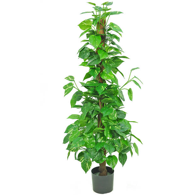 Hoyz Greenery - Kunstplant Pothos 150 cm