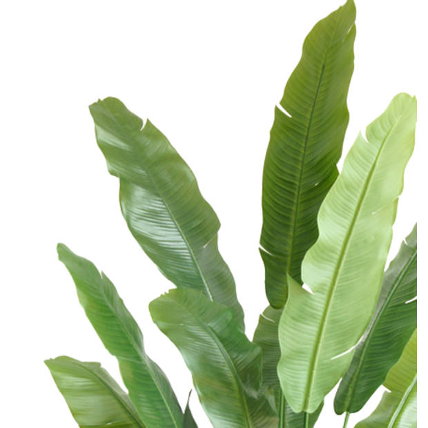 Hoyz Greenery - Kunstplant Strelitzia Nicolai 195 cm