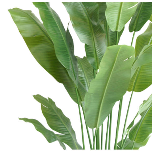 Hoyz Greenery - Kunstplant Strelitzia Nicolai 195 cm