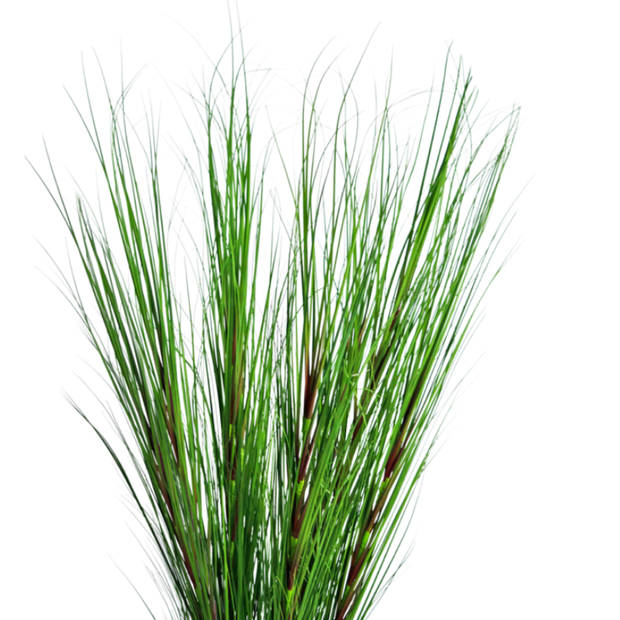 Hoyz Greenery - Kunst Grasplant Onion 150 cm brandvertragend