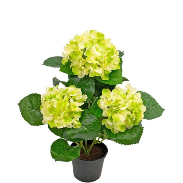 Hoyz Greenery - Kunstplant Hortensia Groen 35 cm