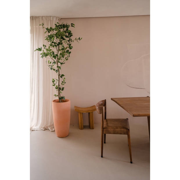 Hoyz Greenery - Kunstplant Ficus 210 cm