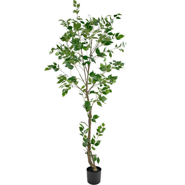 Hoyz Greenery - Kunstplant Ficus 210 cm