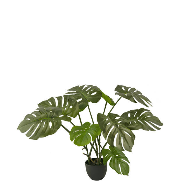 Hoyz Greenery - Kunst Monstera 50 cm