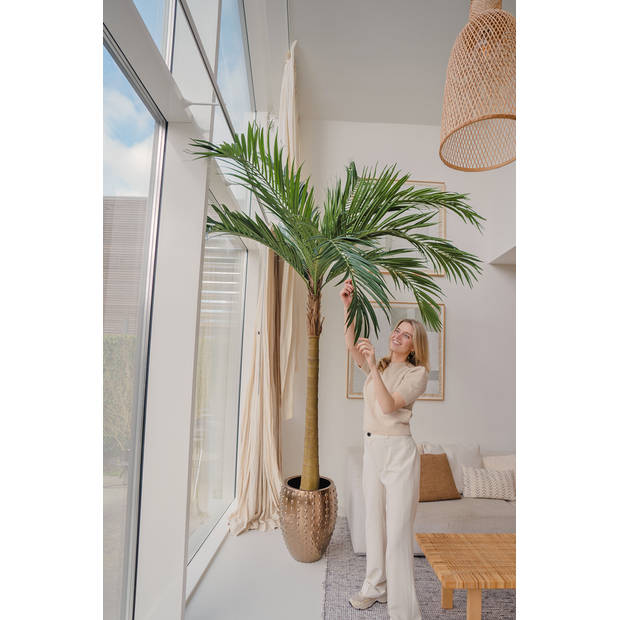 Hoyz Greenery - Palm XL Deluxe 270 cm