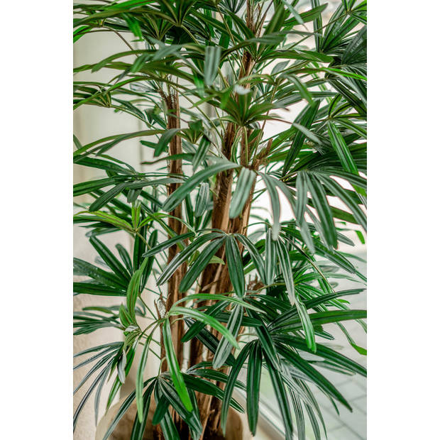 Hoyz Greenery - Lady Kunstpalm 150 cm