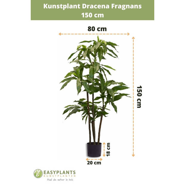 Hoyz Greenery - Kunstplant Dracena Fragnans 150 cm