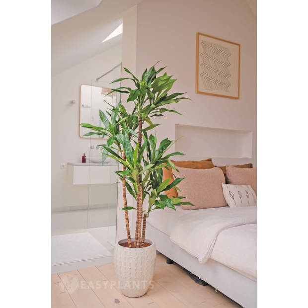 Hoyz Greenery - Kunstplant Dracena Fragnans 150 cm