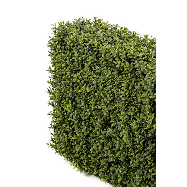 Hoyz Greenery - Kunst Buxushaag 70x20x50 cm UV