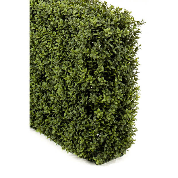 Hoyz Greenery - Kunst Buxushaag 70x20x50 cm UV