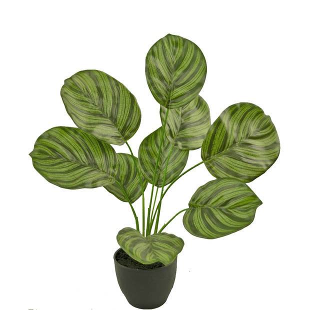 Hoyz Greenery - Kunst Calathea 48 cm in sierpot zwart