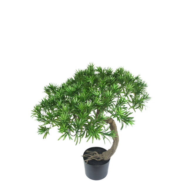 Hoyz Greenery - Kunst Bonsaiboom Pine 55 cm