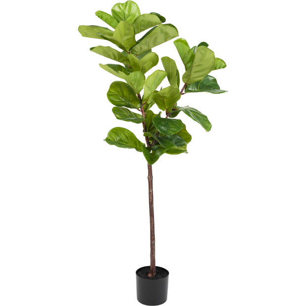 Hoyz Greenery - Kunstplant Ficus Tabaksplant 150 cm