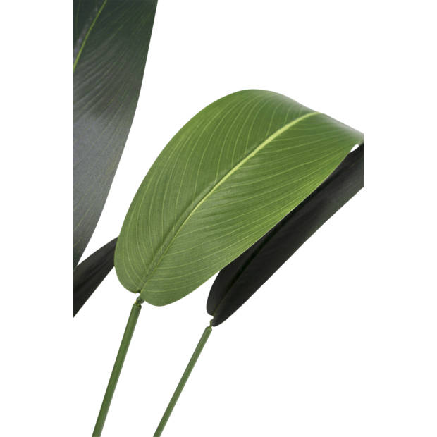 Hoyz Greenery - Kunstplant Heliconia 120 cm