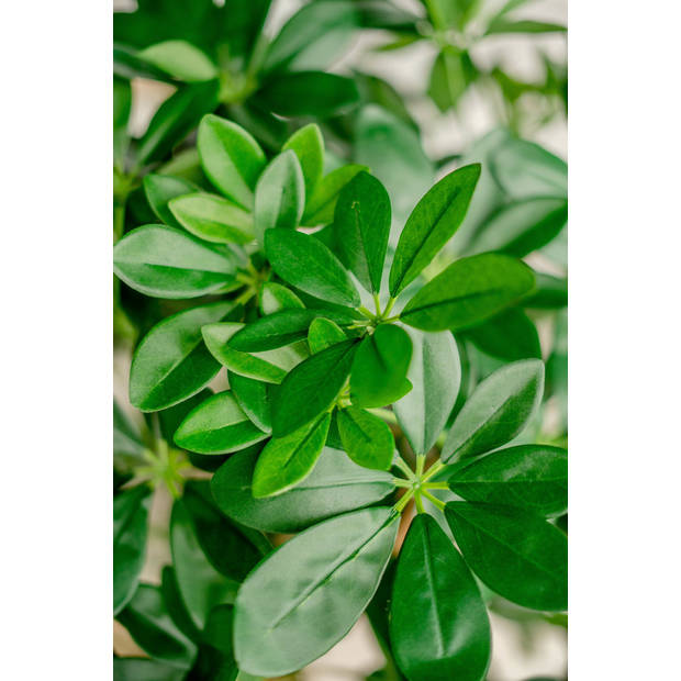 Hoyz Greenery - Kunstplant Schefflera 120 cm.