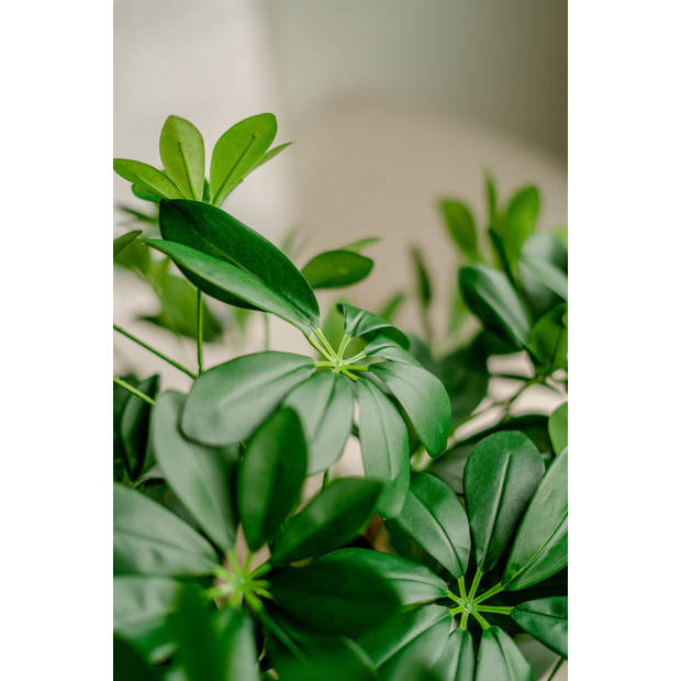 Hoyz Greenery - Kunstplant Schefflera 120 cm.