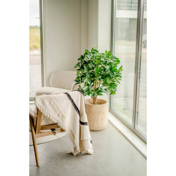 Hoyz Greenery - Kunstplant Schefflera 120 cm.