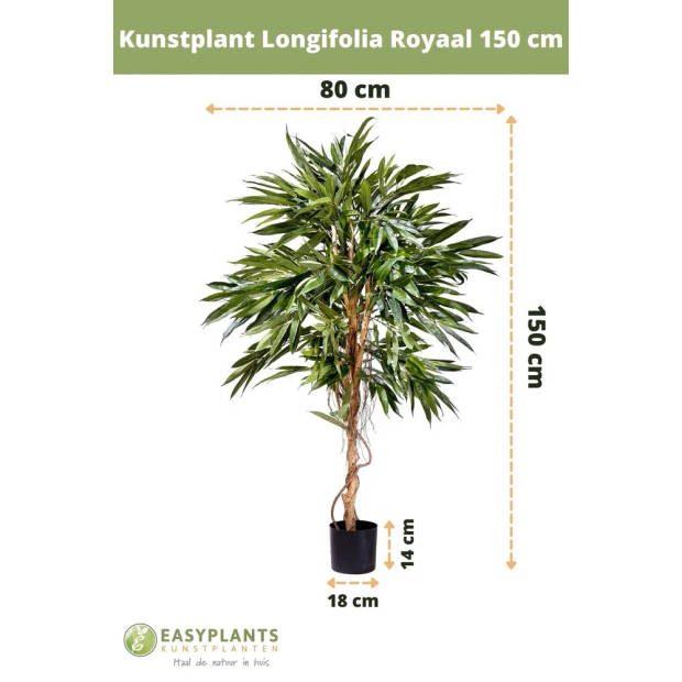 Hoyz Greenery - Kunstplant Longifolia Royaal 150 cm