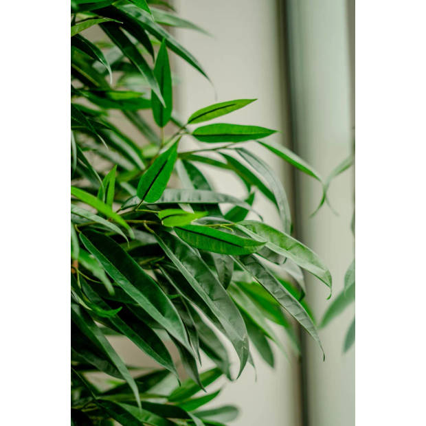 Hoyz Greenery - Kunstplant Longifolia Royaal 150 cm