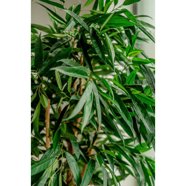 Hoyz Greenery - Kunstplant Longifolia Royaal 150 cm