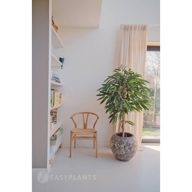 Hoyz Greenery - Kunstplant Longifolia Royaal 150 cm