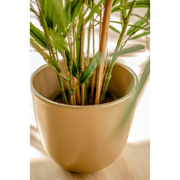 Hoyz Greenery - Kunstplant Bamboe Royaal 70 cm