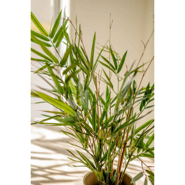 Hoyz Greenery - Kunstplant Bamboe Royaal 70 cm