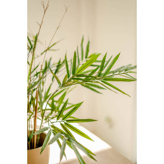 Hoyz Greenery - Kunstplant Bamboe Royaal 70 cm