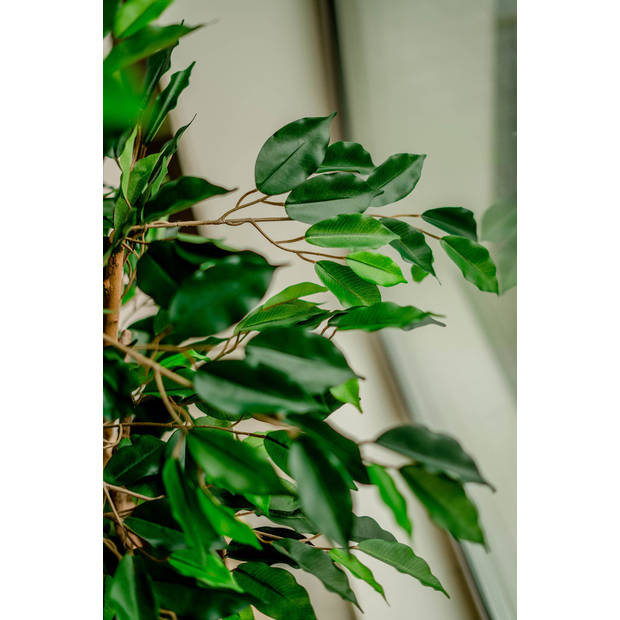 Hoyz Greenery - Kunstplant Ficus Groen 120 cm